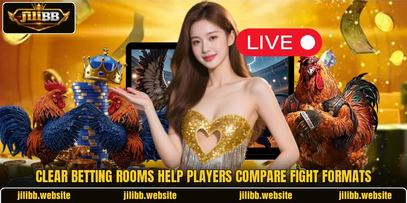 Clear betting rooms help players compare fight formats Clear betting rooms help players compare fight formats