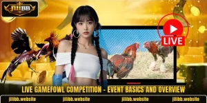 Live Gamefowl Competition - Event Basics And Overview