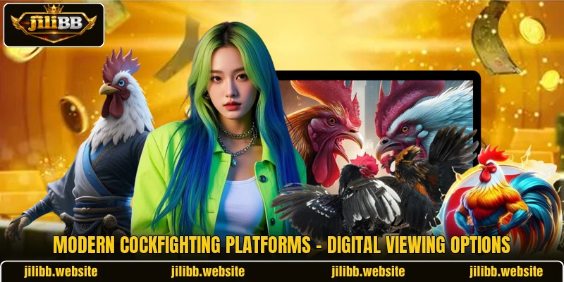 Modern Cockfighting Platforms - Digital Viewing Options