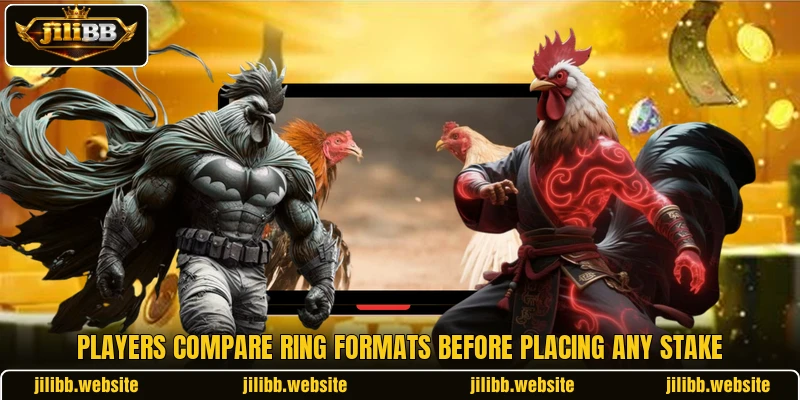 Players compare ring formats before placing any stake Players compare ring formats before placing any stake